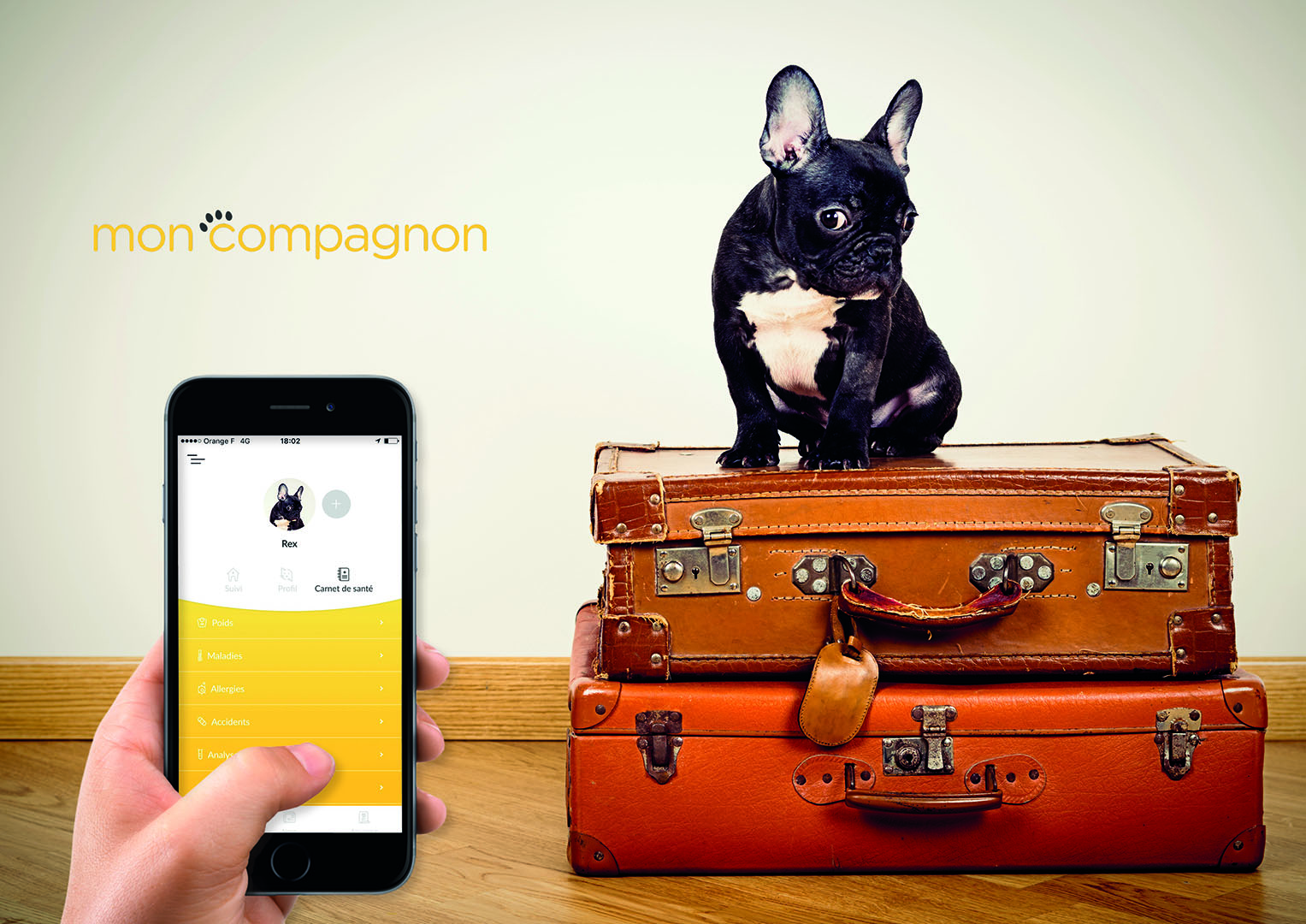 application mobile MonCompagnon