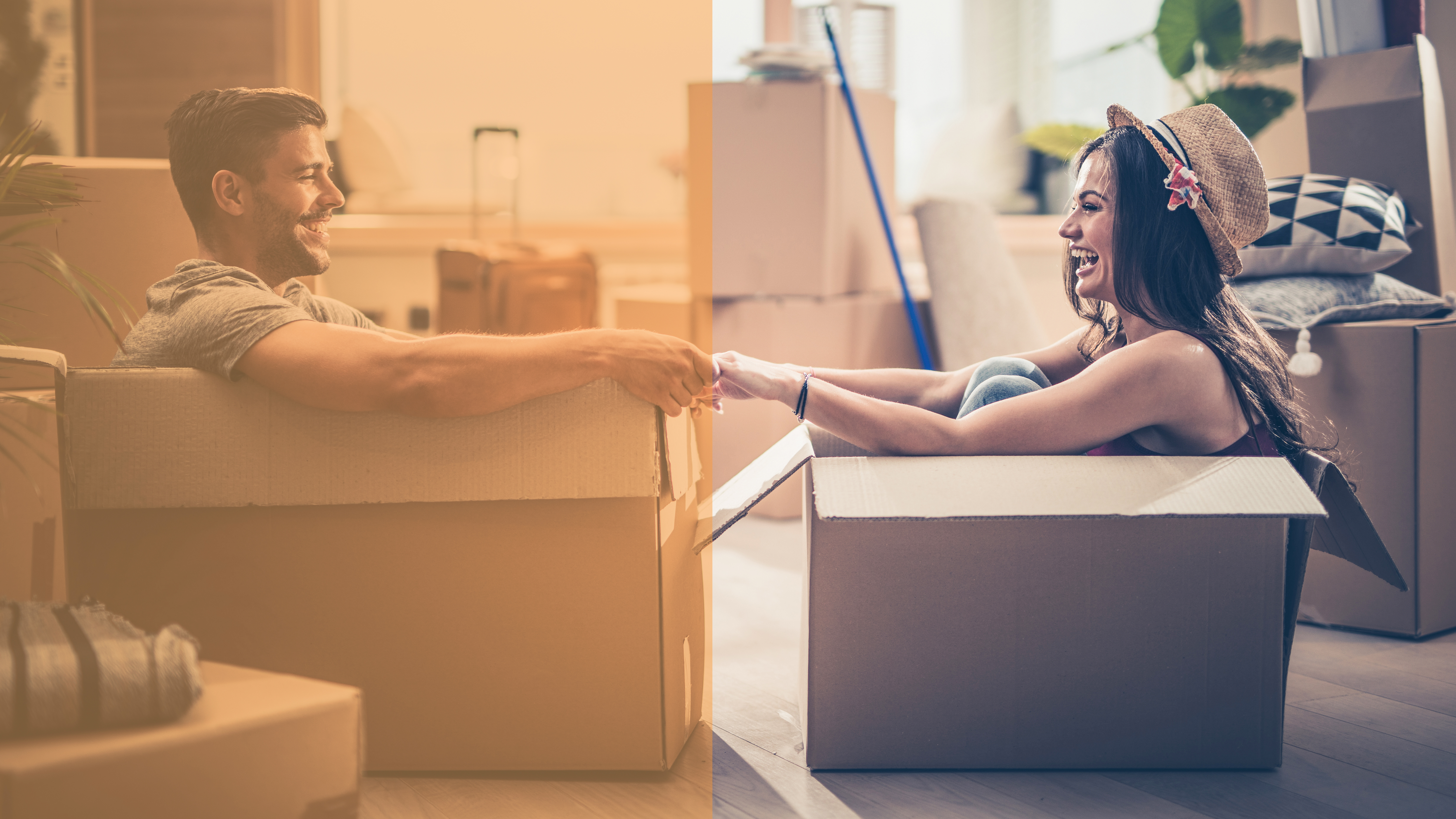 solly azar export GLI