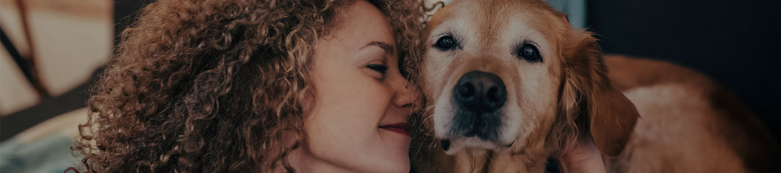 Assurance Chien/Chat - Solly Azar