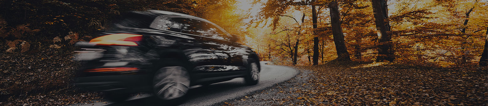 MILLÉSIME 2000 - Solly Azar