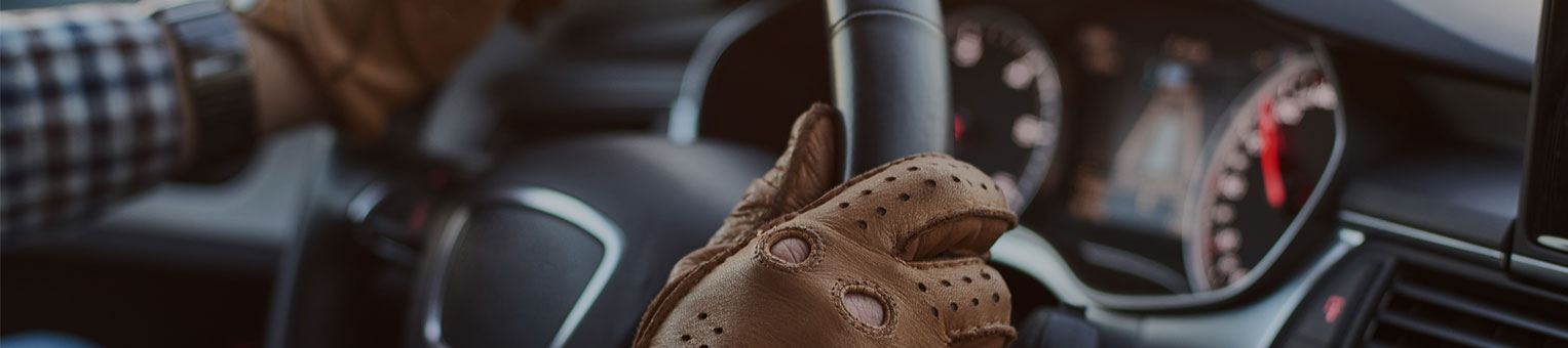 MaxiBonus - Solly Azar