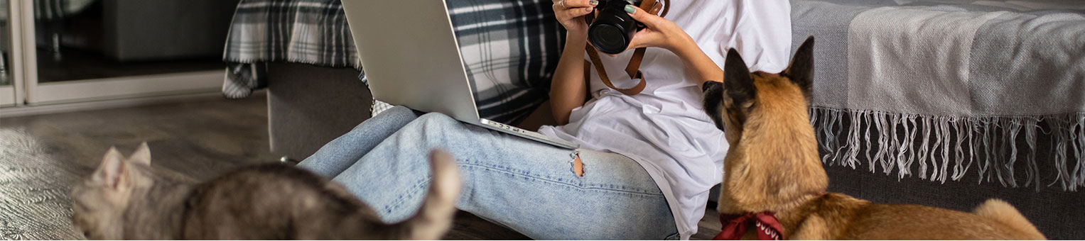 Une offre à adopter - Solly Azar