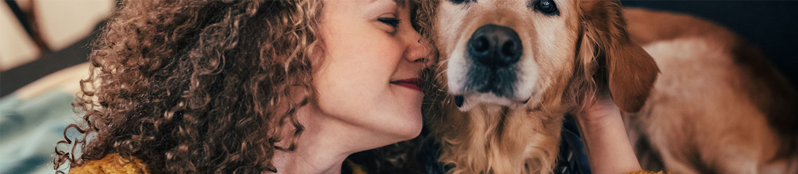 Assurance Animaux - Solly Azar