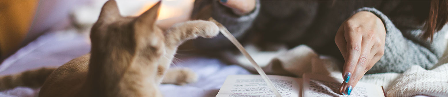 Assurance Animaux - Solly Azar