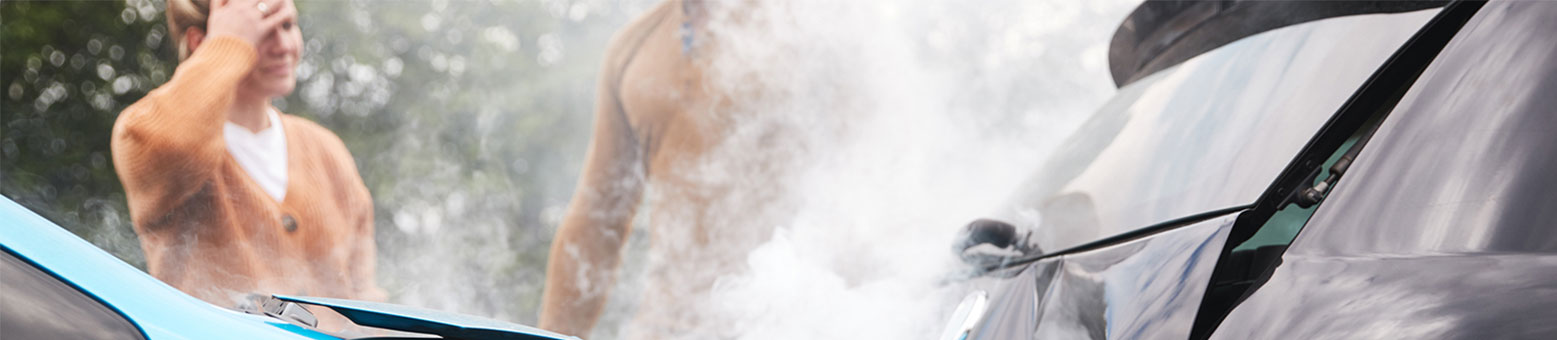 Assurance Terminus - Solly Azar