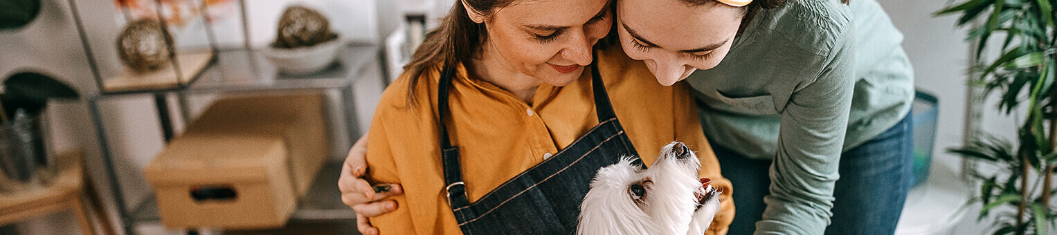 Assurance chien/chat - Solly Azar