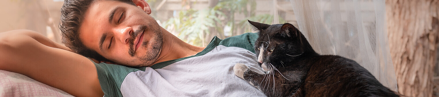 Assurance Animaux - Solly Azar