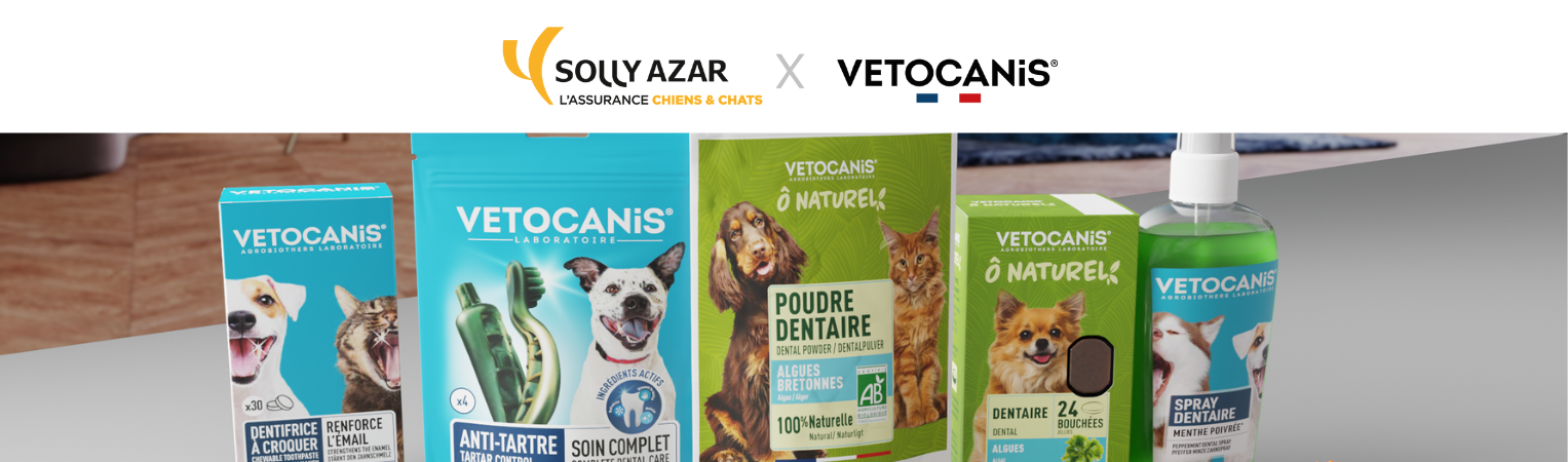 Assurance Santé Chien/Chat : nouveau partenaire exclusif Vetocanis