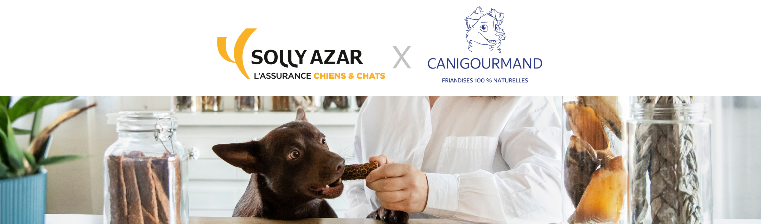Assurance Santé Chien/Chat : 20% de remise sur le site Canigourmand