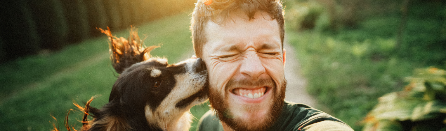 Assurance Santé Chien/Chat : 3 nouvelles formules disponibles !