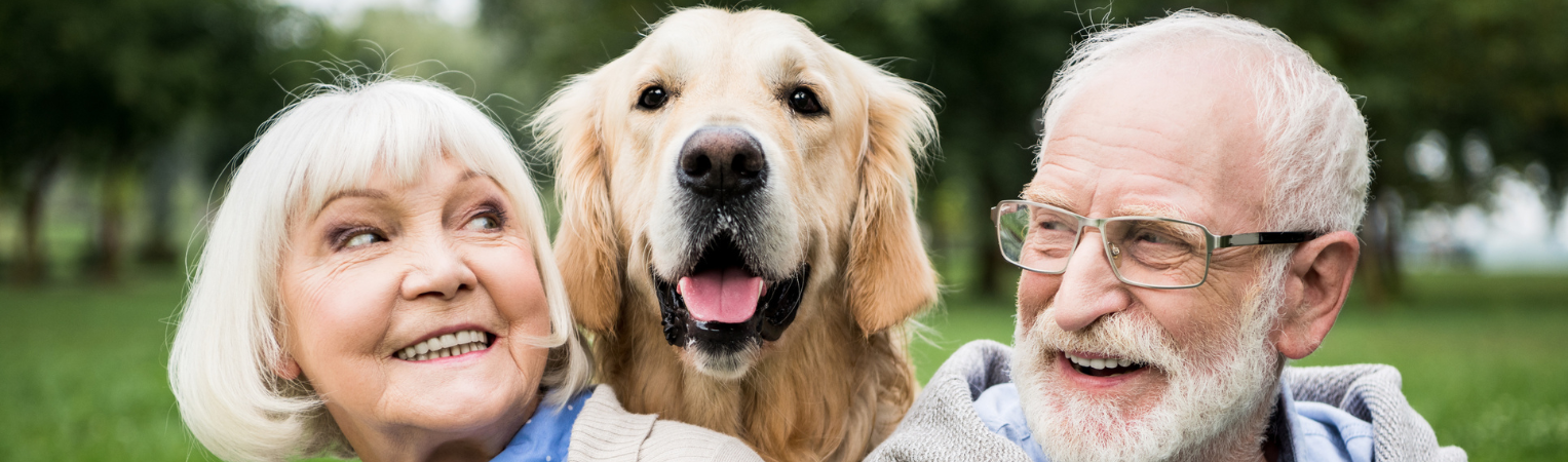 Assurance Santé & Chien/Chat : nos formules ECO 