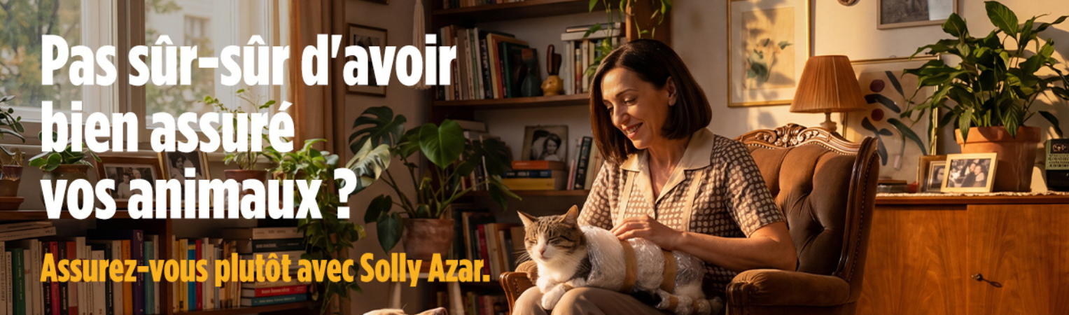 Assurance Chiens & Chats : découvrez le nouveau spot publicitaire Solly Azar