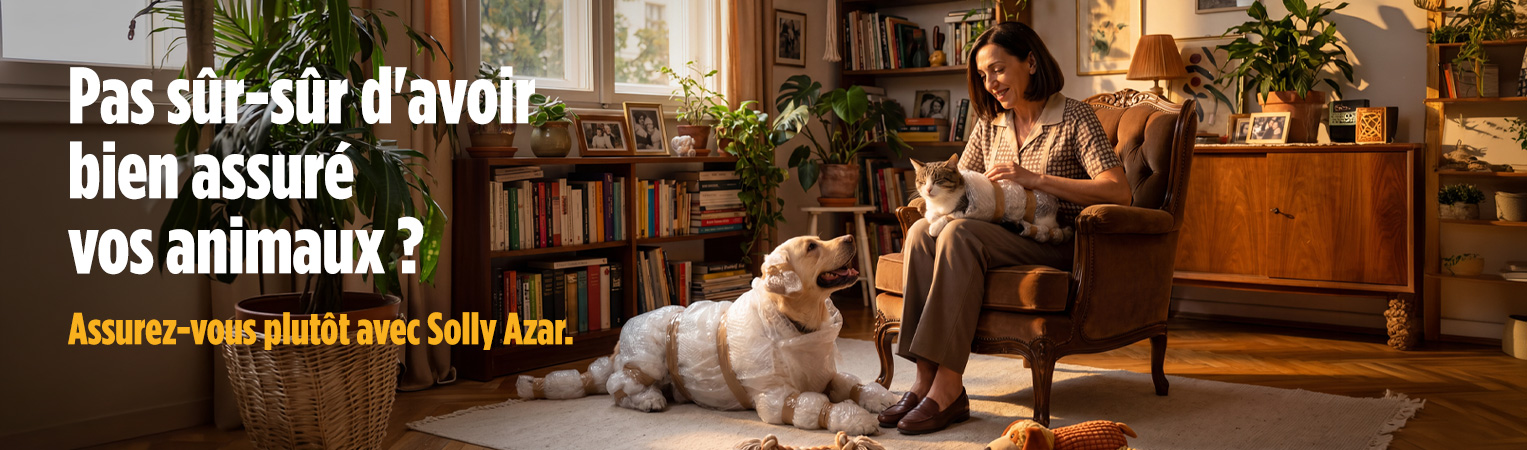 Assurance Chiens & Chats : découvrez le nouveau spot publicitaire Solly Azar