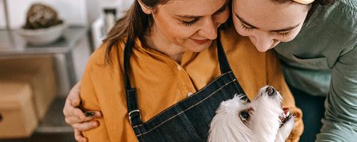 Assurance chien/chat - Solly Azar