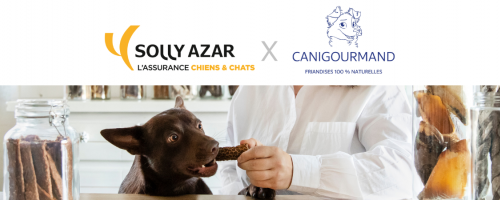 Assurance Santé Chien/Chat : 20% de remise sur le site Canigourmand