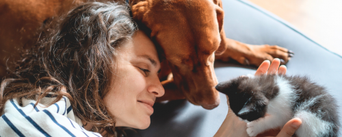 Assurance Chien/Chat : 1 personne sur 4 a déjà renoncé à soigner son animal pour des raisons financières