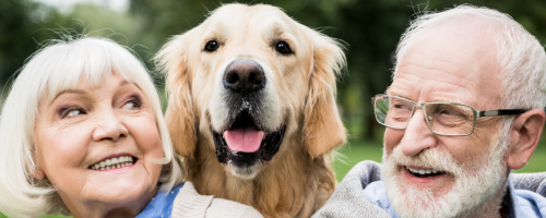 Assurance Santé & Chien/Chat : nos formules ECO 